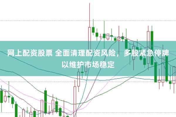 网上配资股票 全面清理配资风险，多股紧急停牌以维护市场稳定