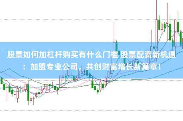 股票如何加杠杆购买有什么门槛 股票配资新机遇：加盟专业公司，共创财富增长新篇章！