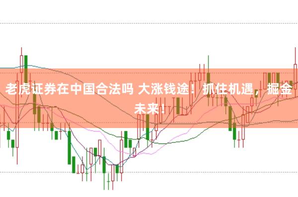 老虎证券在中国合法吗 大涨钱途！抓住机遇，掘金未来！