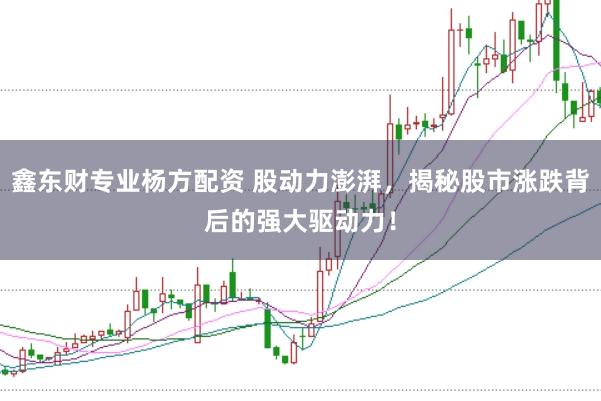 鑫东财专业杨方配资 股动力澎湃，揭秘股市涨跌背后的强大驱动力！