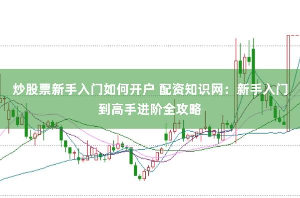 炒股票新手入门如何开户 配资知识网：新手入门到高手进阶全攻略