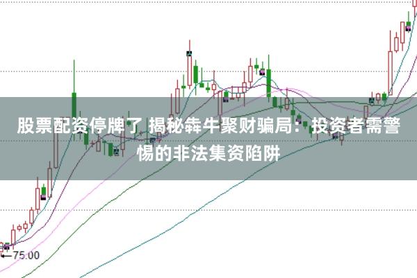 股票配资停牌了 揭秘犇牛聚财骗局：投资者需警惕的非法集资陷阱