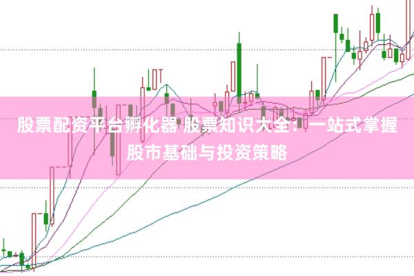 股票配资平台孵化器 股票知识大全：一站式掌握股市基础与投资策略