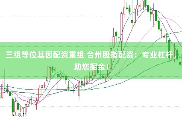 三组等位基因配资重组 台州股指配资：专业杠杆，助您掘金！