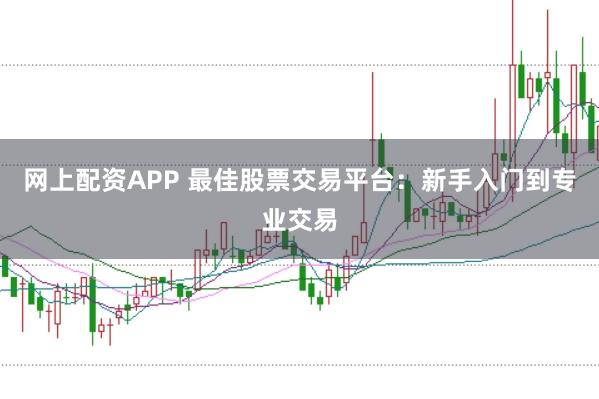 网上配资APP 最佳股票交易平台：新手入门到专业交易