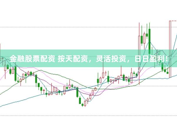 金融股票配资 按天配资，灵活投资，日日盈利！