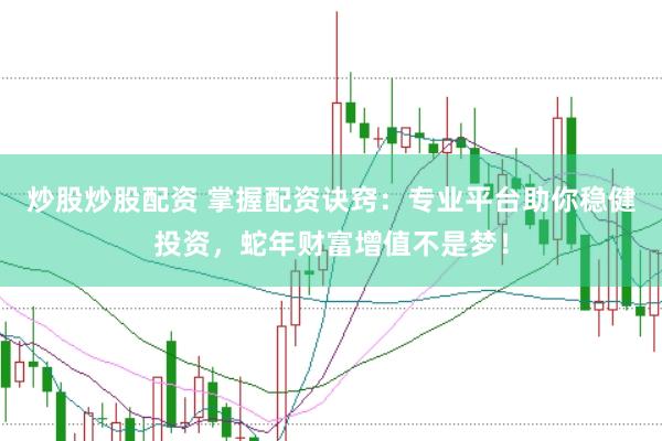 炒股炒股配资 掌握配资诀窍：专业平台助你稳健投资，蛇年财富增值不是梦！