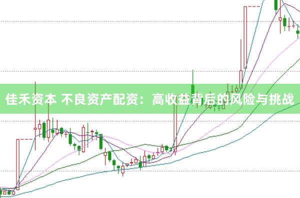 佳禾资本 不良资产配资：高收益背后的风险与挑战