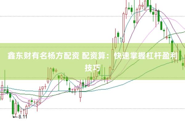 鑫东财有名杨方配资 配资算：快速掌握杠杆盈利技巧